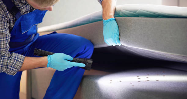 Professional Pest Control in Bermuda Dunes, CA