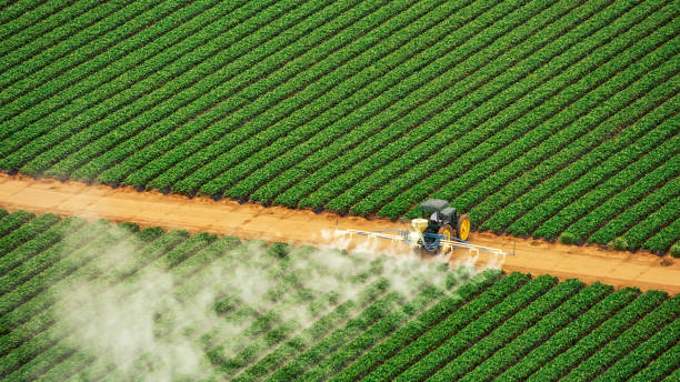 Best Best Pest Control Companies  in Bermuda Dunes, CA